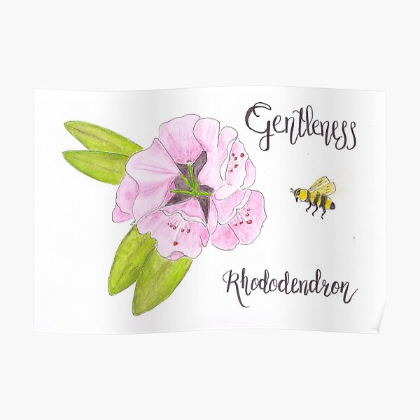 Rhododendron - Gentleness Poster