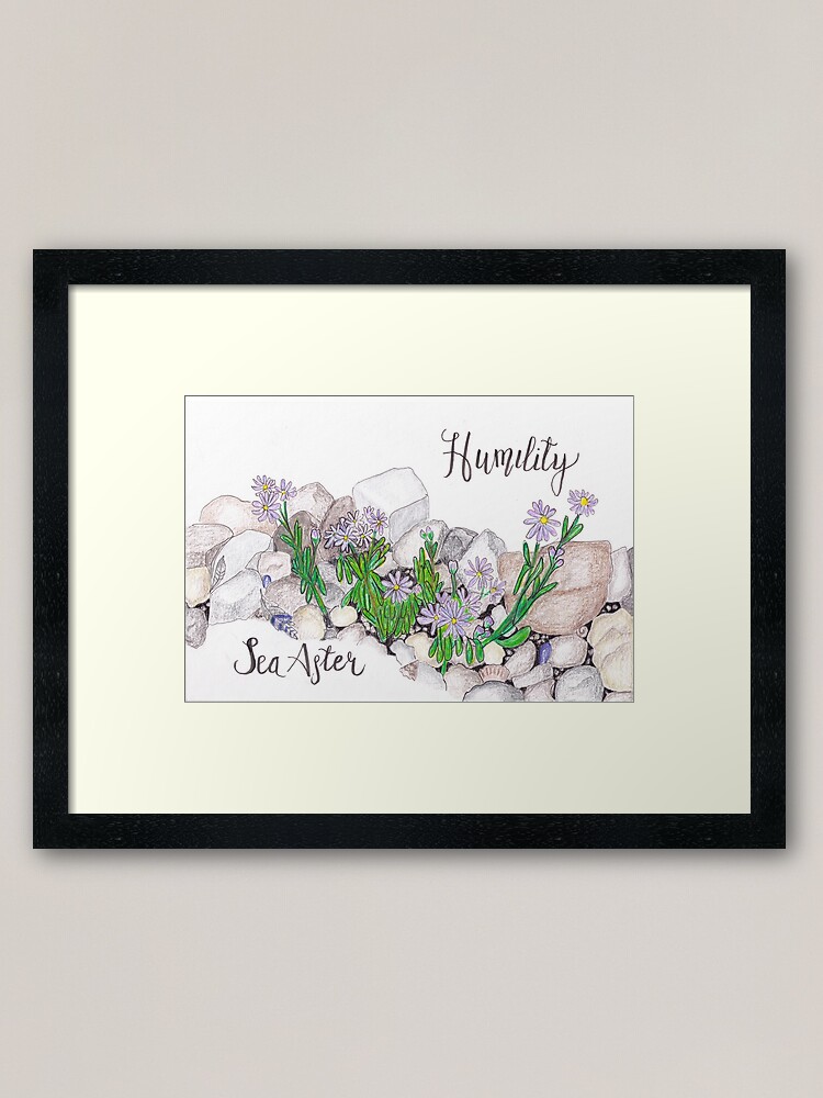 Alternate view of Sea Aster - Humility Framed Art Print