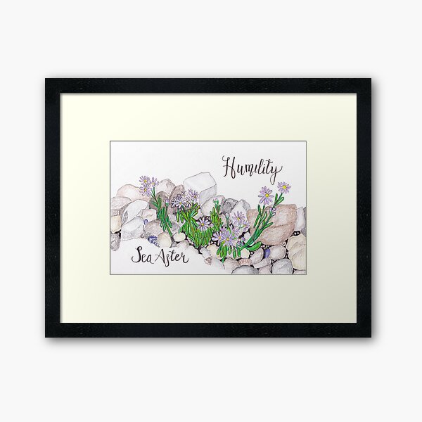 Sea Aster - Humility Framed Art Print