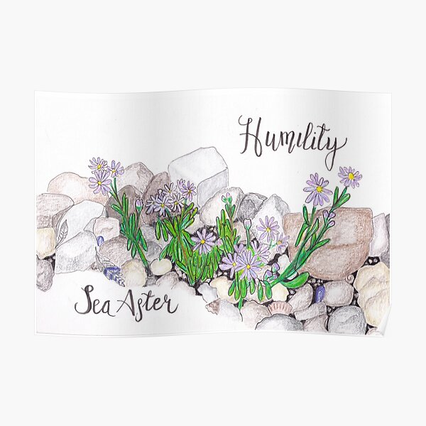 Sea Aster - Humility Poster