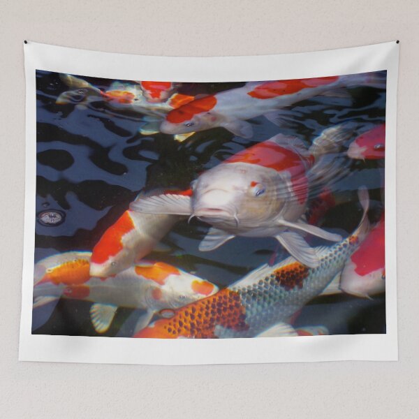 Item preview, KOI Fish designed and sold by irishfisherman2.