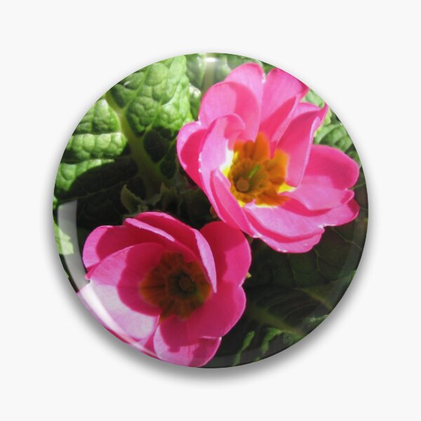 Item preview, Sunkissed Pink Primroses  designed and sold by BlueMoonRose.