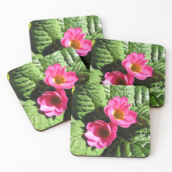 Item preview, Sunkissed Pink Primroses  designed and sold by BlueMoonRose.
