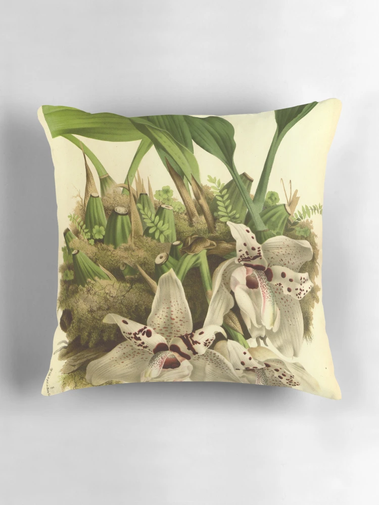 Aperçu 3 sur 4. Coussin avec l'œuvre Flore des serres et des... créée et vendue par Rodeoclash.