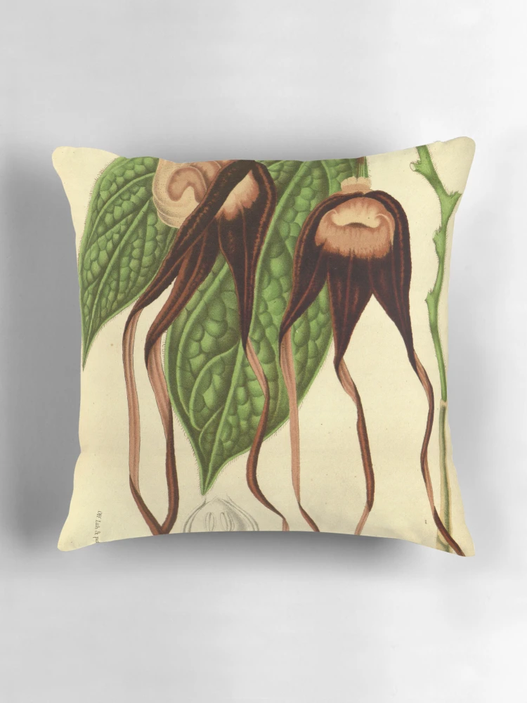 Aperçu 3 sur 4. Coussin avec l'œuvre Flore des serres et des... créée et vendue par Rodeoclash.