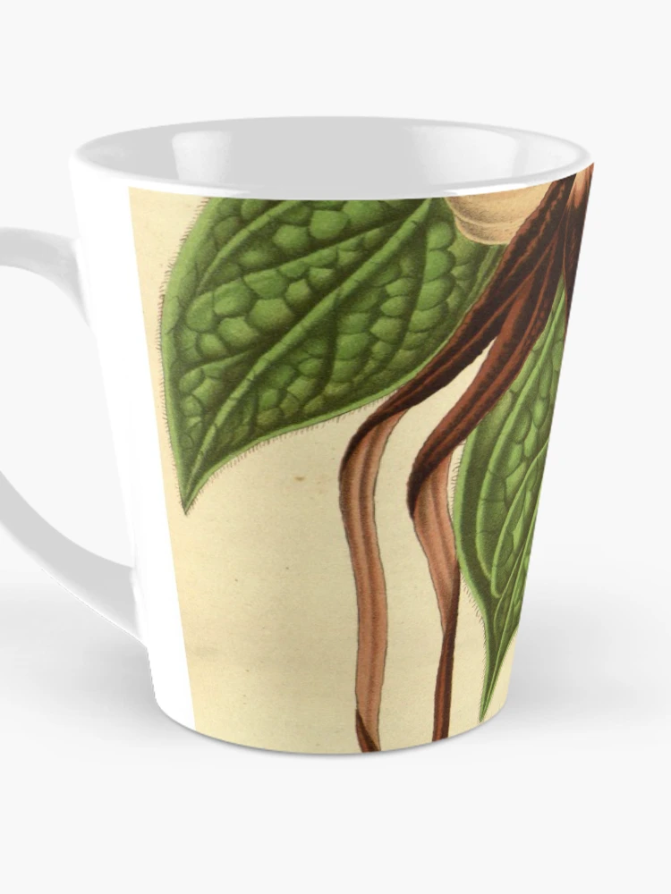 Thumbnail 3 von 4, Kaffeebecher, Flore des serres et des... designt und verkauft von Rodeoclash.
