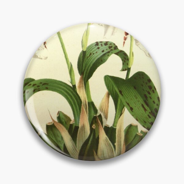 Item preview, Flore des serres et des... designed and sold by Rodeoclash.