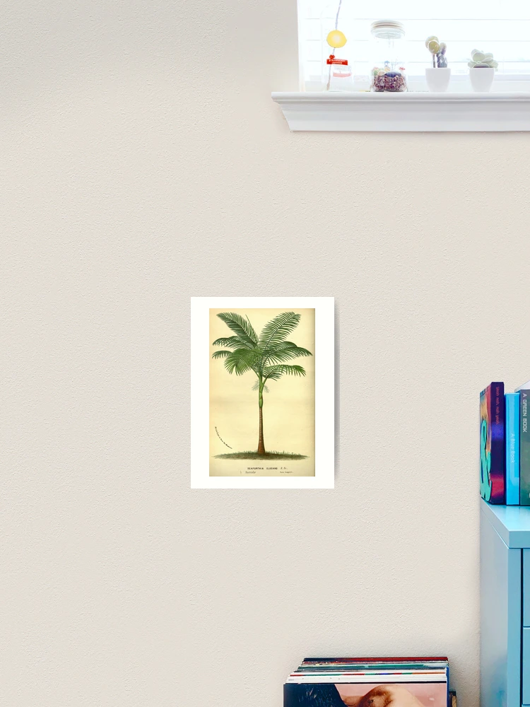 Thumbnail 2 von 3, Kunstdruck, Flore des serres et des... designt und verkauft von Rodeoclash.