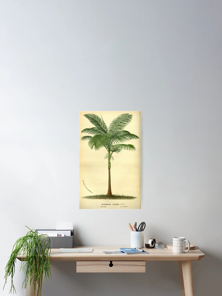 Thumbnail 2 von 3, Poster, Flore des serres et des... designt und verkauft von Rodeoclash.