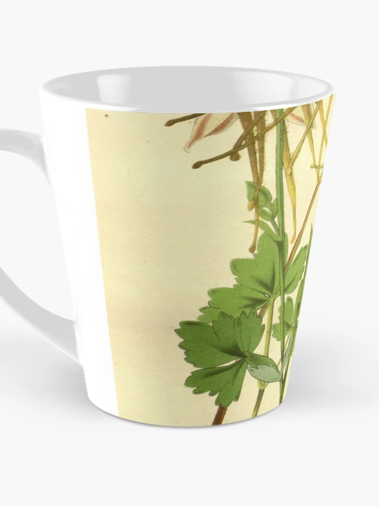 Aperçu 3 sur 4. Mug à café avec l'œuvre Flore des serres et des... créée et vendue par Rodeoclash.