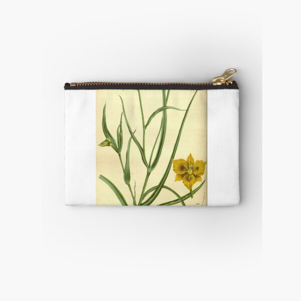 Item preview, Flore des serres et des... designed and sold by Rodeoclash.