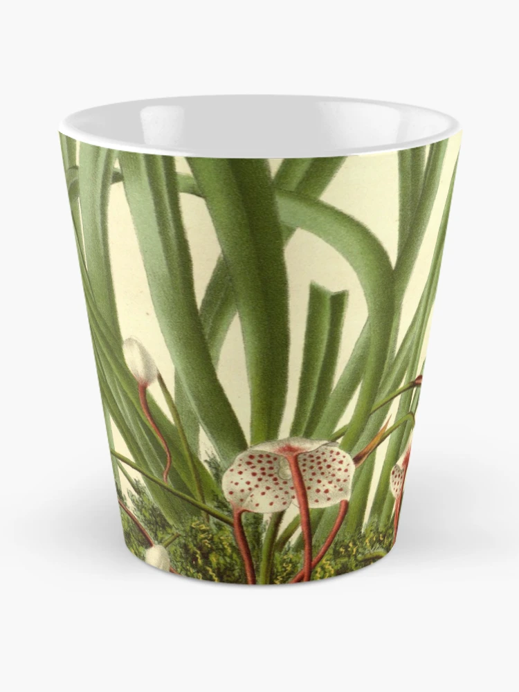 Aperçu 2 sur 4. Mug à café avec l'œuvre Flore des serres et des... créée et vendue par Rodeoclash.