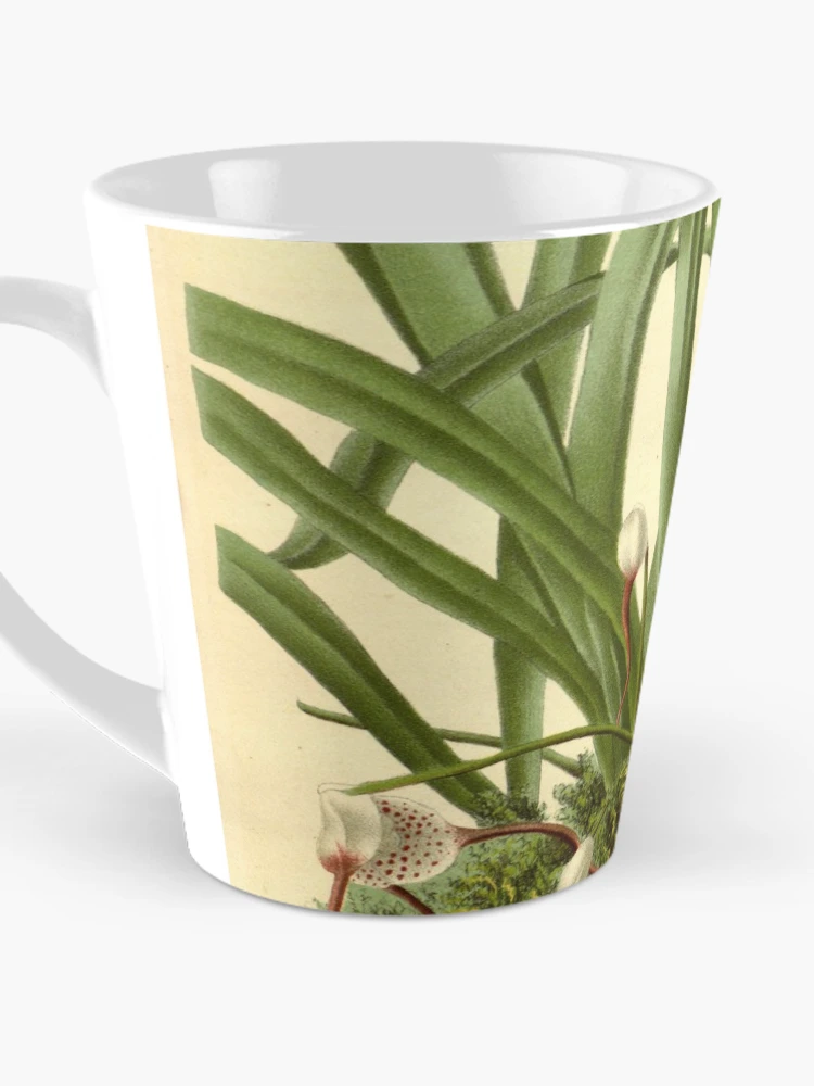 Aperçu 3 sur 4. Mug à café avec l'œuvre Flore des serres et des... créée et vendue par Rodeoclash.