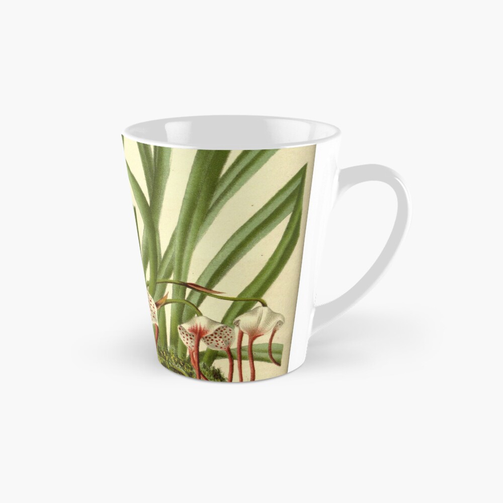 Vista previa del artículo con la obra «Taza cónica», diseñado y vendido por Rodeoclash.