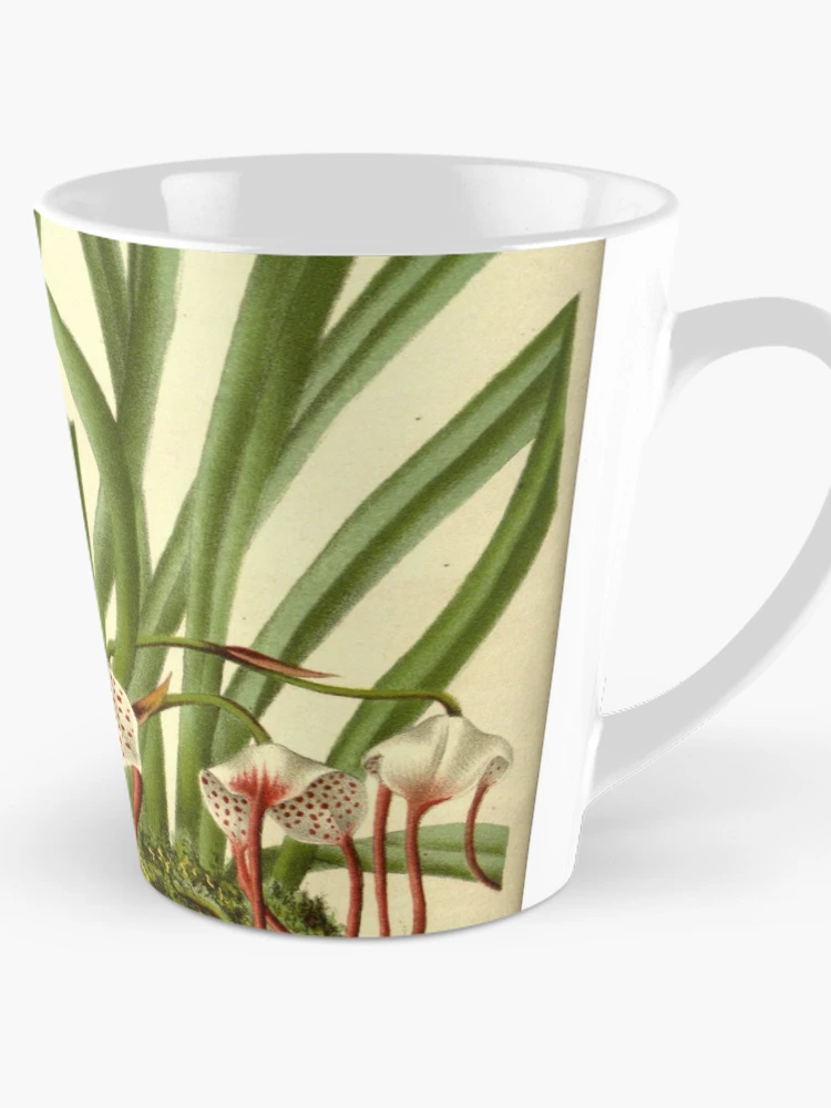 Aperçu 1 sur 4. Mug à café avec l'œuvre Flore des serres et des... créée et vendue par Rodeoclash.