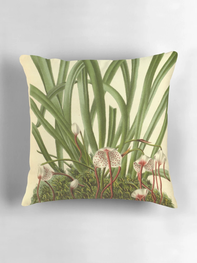 Aperçu 3 sur 4. Coussin avec l'œuvre Flore des serres et des... créée et vendue par Rodeoclash.