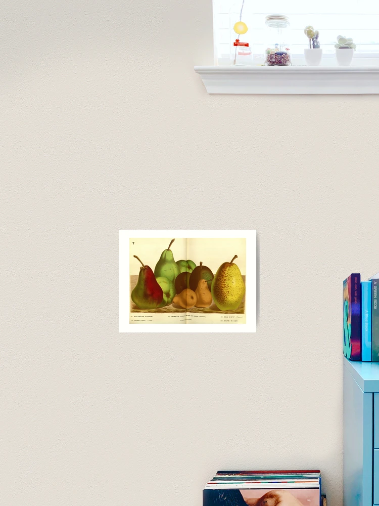 Thumbnail 2 von 3, Kunstdruck, Flore des serres et des... designt und verkauft von Rodeoclash.