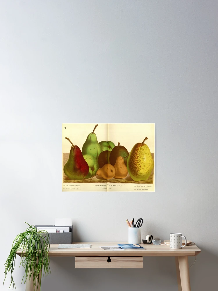 Imagen 2 de 3, Póster con la obra Flore des serres et des..., diseñada y vendida por Rodeoclash.