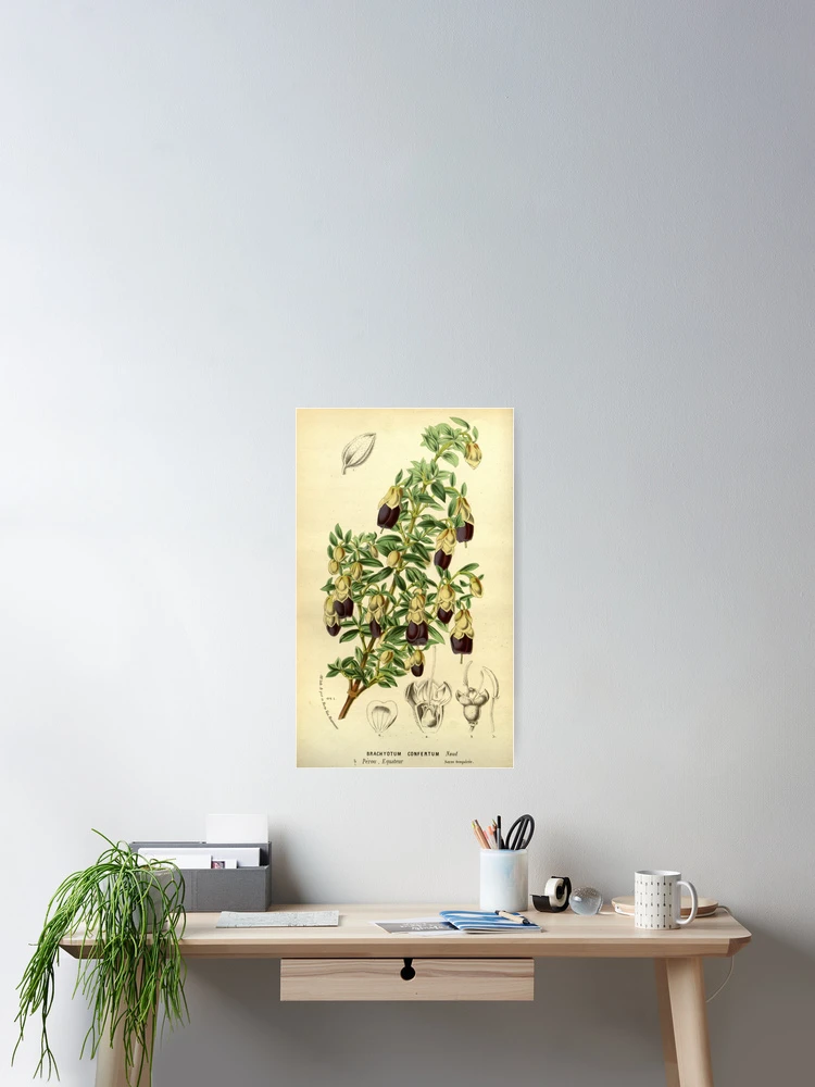 Imagen 2 de 3, Póster con la obra Flore des serres et des..., diseñada y vendida por Rodeoclash.