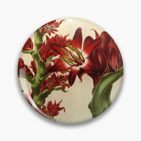 Item preview, Flore des serres et des... designed and sold by Rodeoclash.