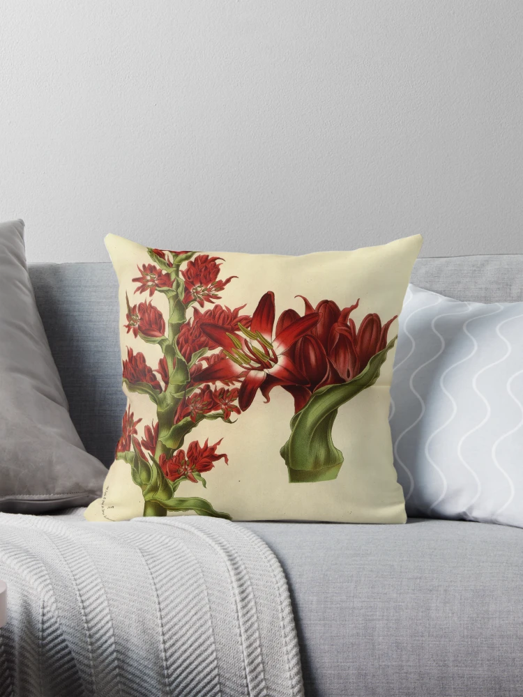 Aperçu 1 sur 4. Coussin avec l'œuvre Flore des serres et des... créée et vendue par Rodeoclash.