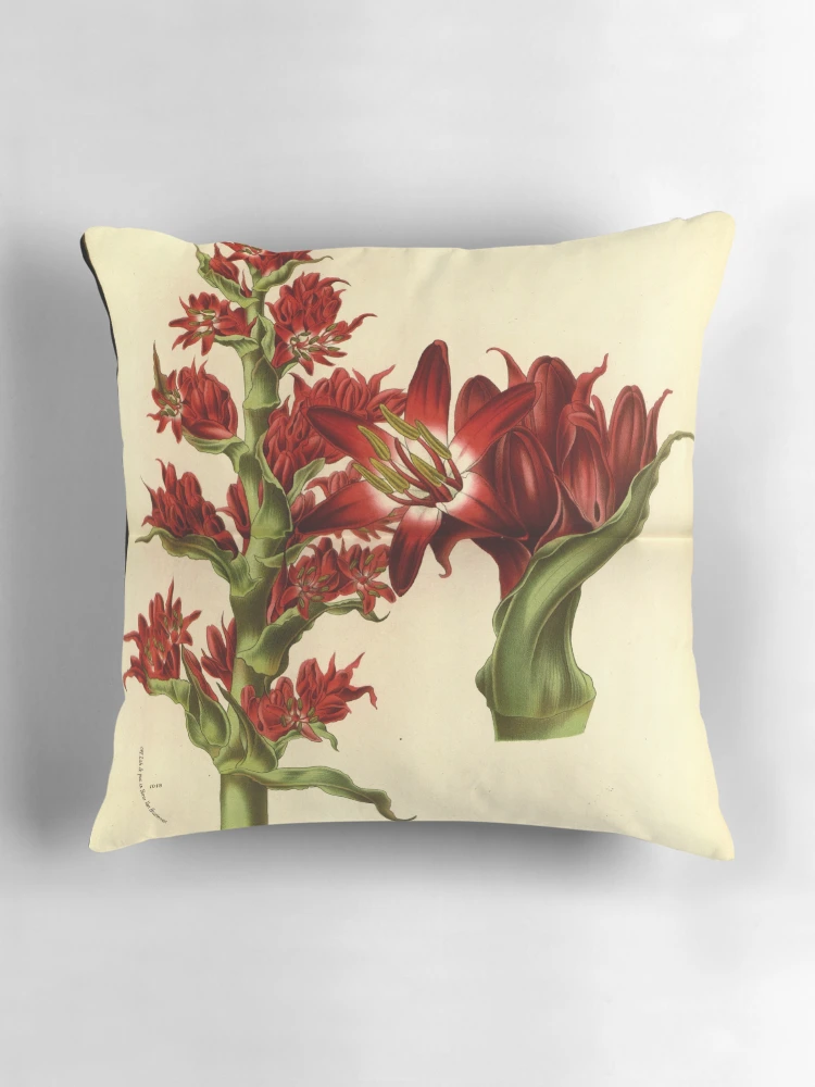 Aperçu 3 sur 4. Coussin avec l'œuvre Flore des serres et des... créée et vendue par Rodeoclash.