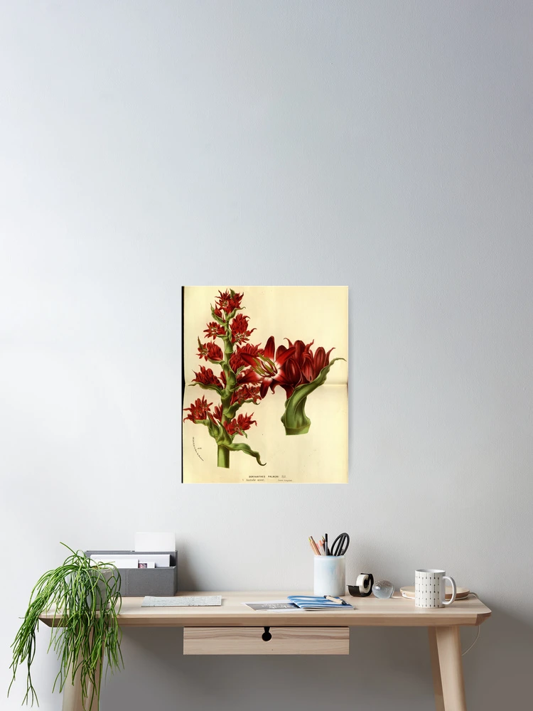 Thumbnail 2 von 3, Poster, Flore des serres et des... designt und verkauft von Rodeoclash.