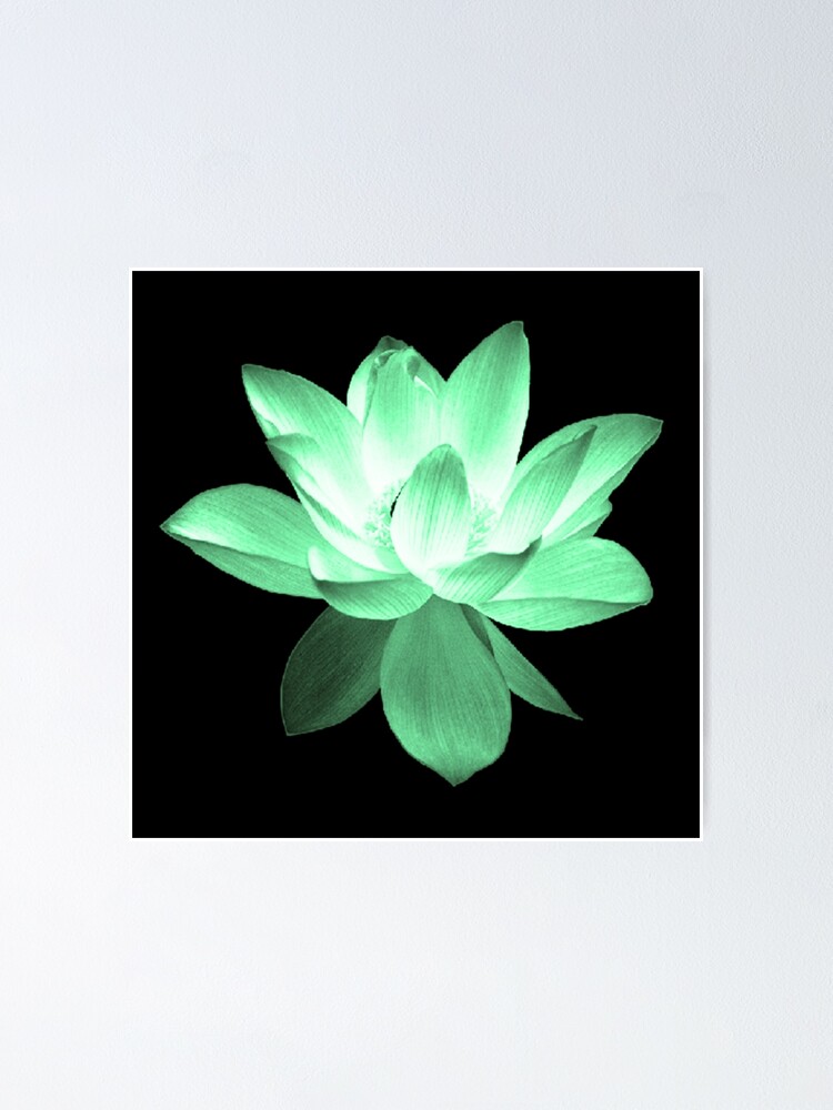 Green Lotus Yoga