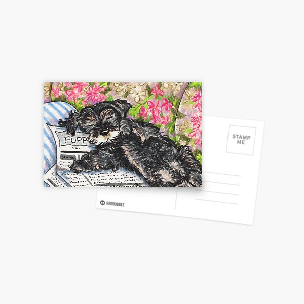 Schnazuer Träume Postkarte