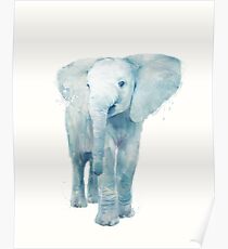 Elephant Poster