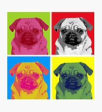 Lámina fotográfica Pop Art Pug