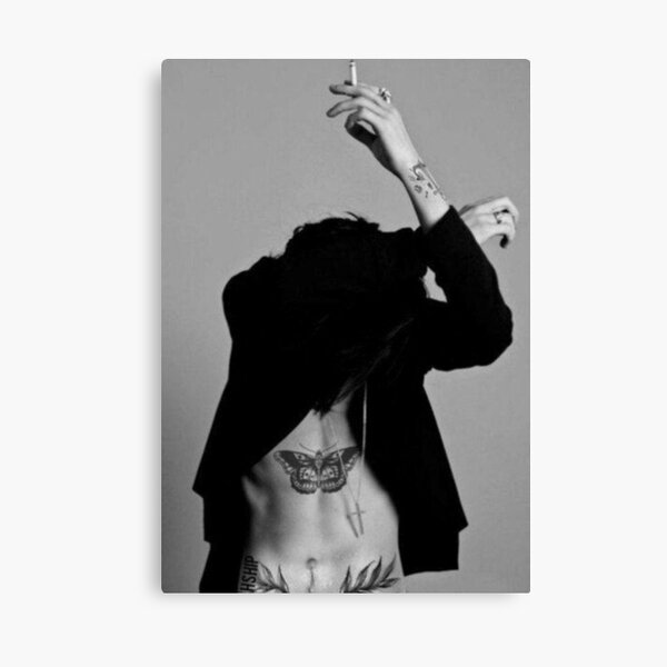 harry styles Canvas Print