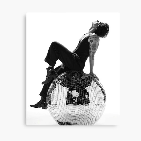 harry styles Canvas Print