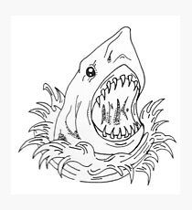 Shark Photographic Print