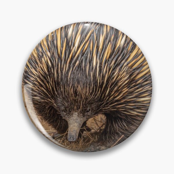 Item preview, Echidna designed and sold by Glenn-Smith.