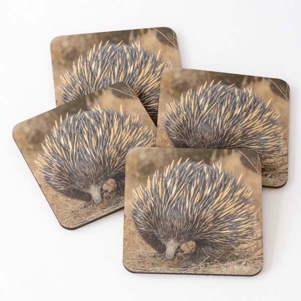 Item preview, Echidna designed and sold by Glenn-Smith.