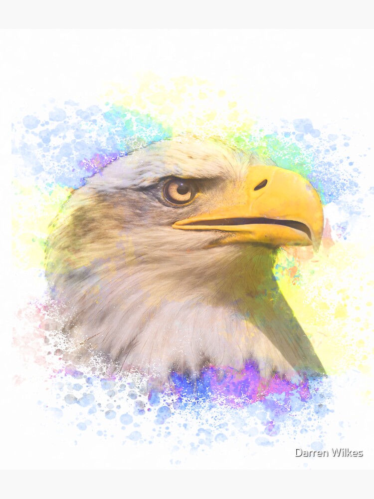 "Bald Eagle Modern Art" Sticker for Sale by daze420 Redbubble