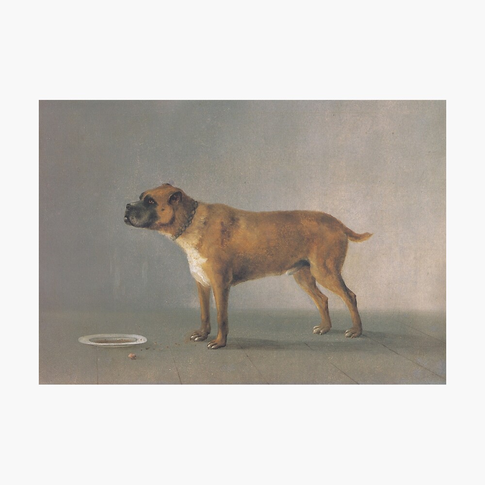 Boxerhund Markus Pernhart Poster Von Adaba Redbubble