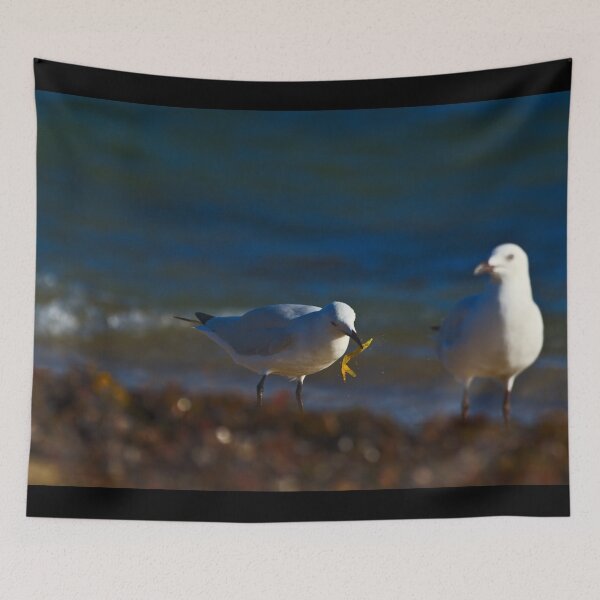 Item preview, A Seagull With A Piece Of Seaweed On The Beach designed and sold by Jason Gilbert.
