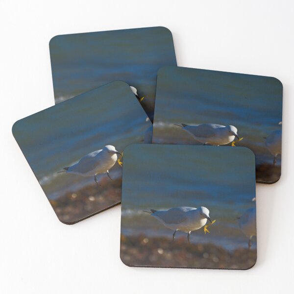 Item preview, A Seagull With A Piece Of Seaweed On The Beach designed and sold by Jason Gilbert.