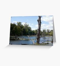 Land of the Lost Greeting Card