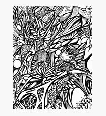 Doodle 5 Photographic Print