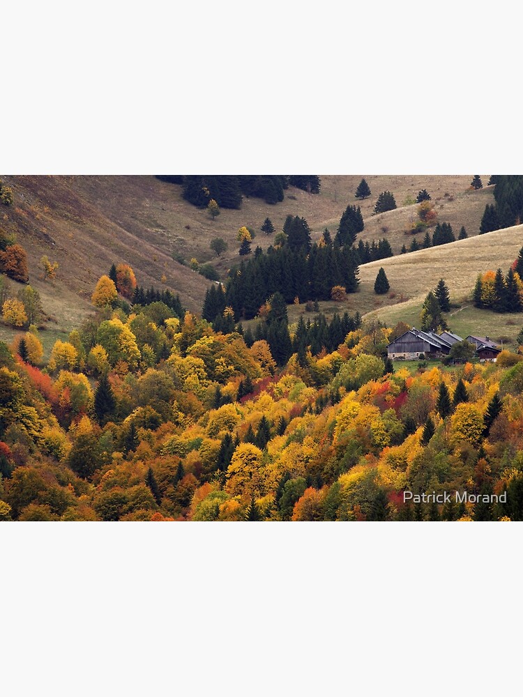 Alpine beauty in autumn by patmo