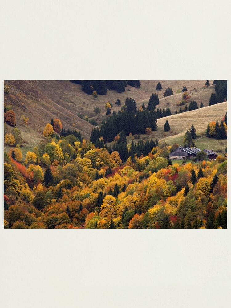 Alternate view of Alpine beauty in autumn Photographic Print