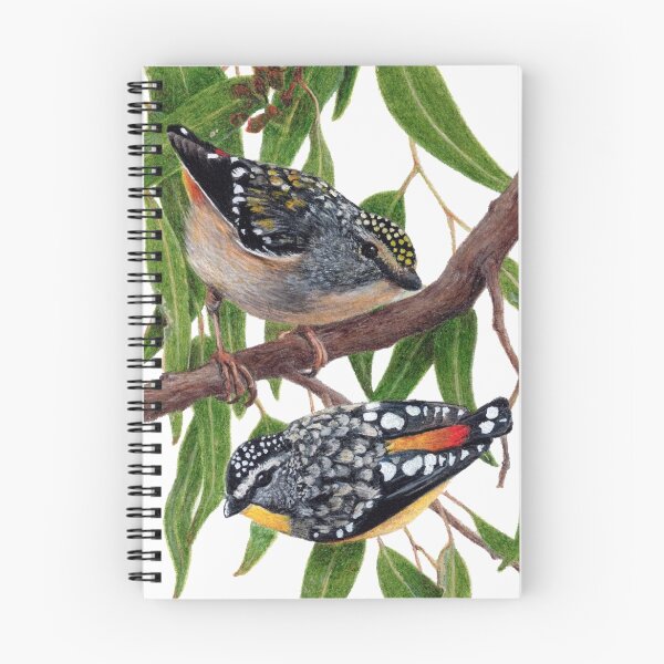 Item preview, Spotted pardalotes designed and sold by Milly Formby.