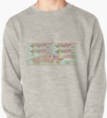 Sudadera sin capucha Vintage NYC Political Ward Map (1870)