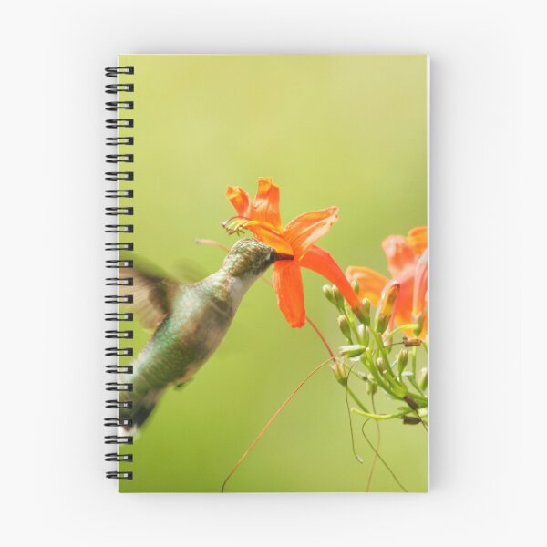 Item preview, Hummingbird with Orange Flower designed and sold by Texas Enfocus Photography.