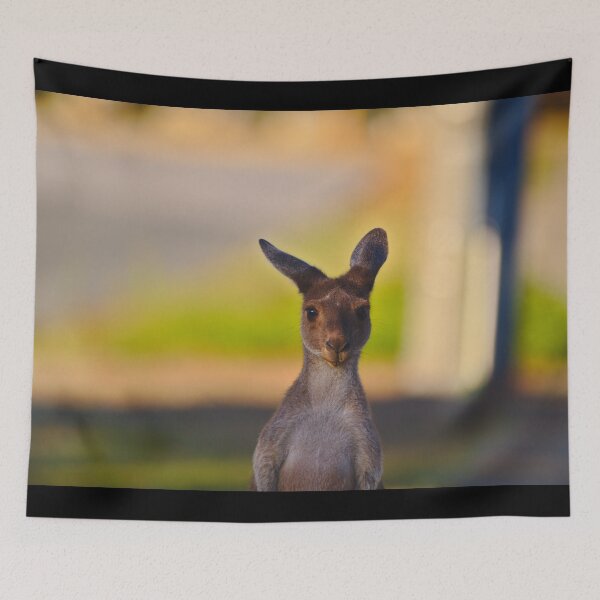 Item preview, A Young Kangaroo At Sunset designed and sold by Jason Gilbert.