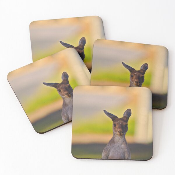 Item preview, A Young Kangaroo At Sunset designed and sold by Jason Gilbert.