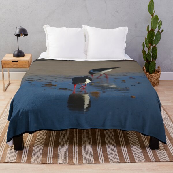 Item preview, A Pair Of Pied Oyster Catchers Hunting designed and sold by Jason Gilbert.